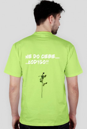 Łodyga