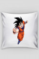 Son Goku