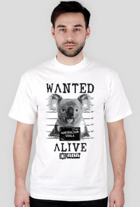 Koszulka męska - Koala. Pada