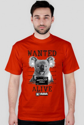 Koszulka męska - Koala. Pada