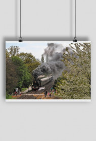 Plakat #11