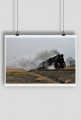 Plakat #13