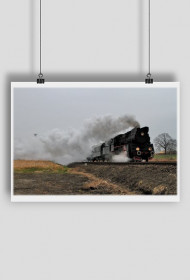 Plakat #13