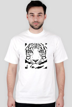 Tiger v2