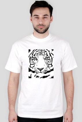 Tiger v2