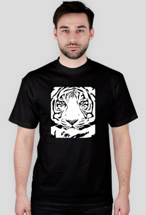 Tiger v2