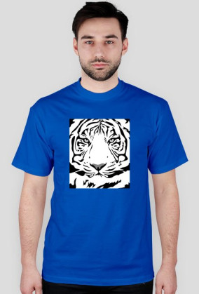 Tiger v2