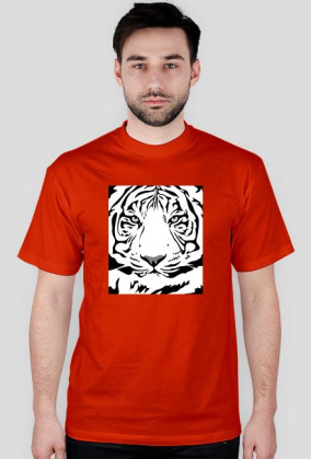 Tiger v2