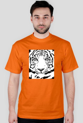 Tiger v2