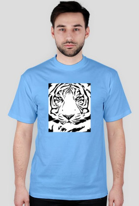 Tiger v2