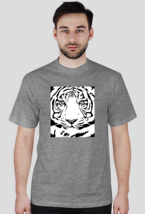 Tiger v2