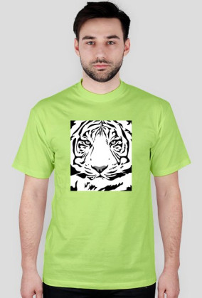 Tiger v2