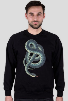 S-Snake