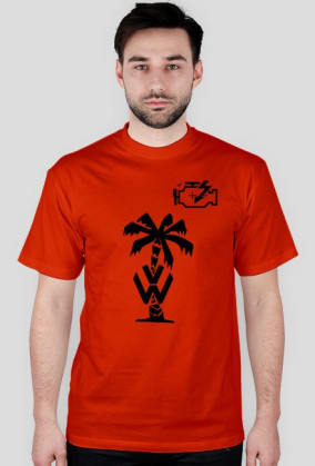 Check Engine vcds vag vw