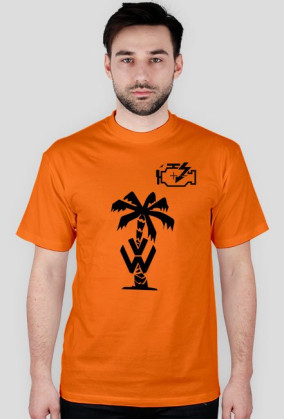 Check Engine vcds vag vw