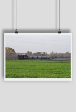 Plakat #28