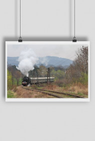 Plakat #30