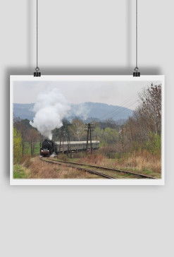 Plakat #30