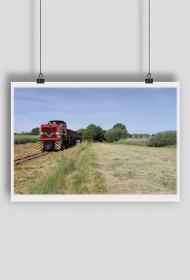 Plakat #38