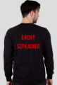 Szpajcher