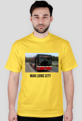 MAN 3383