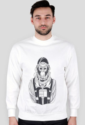 Monkey Astronaut 2
