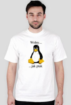 Wolny jak ptak