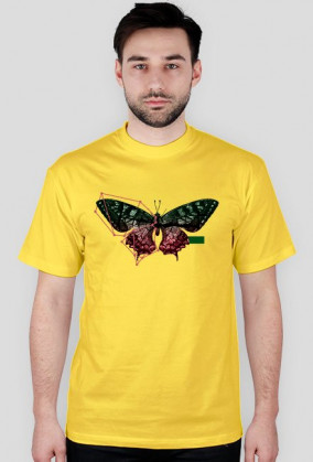 Construct T-shirt Koszulka męska Zwierzęta Motyl