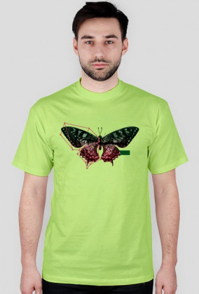 Construct T-shirt Koszulka męska Zwierzęta Motyl