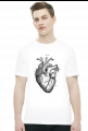 Serce anatomiczne