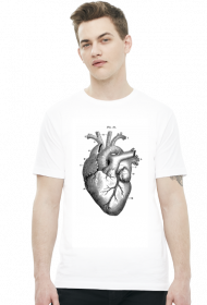 Serce anatomiczne