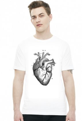 Serce anatomiczne