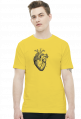 Serce anatomiczne