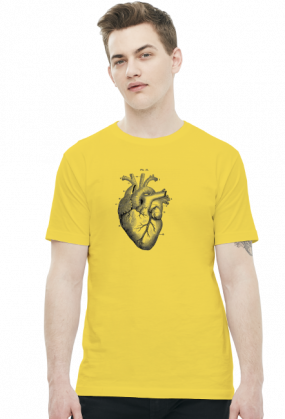 Serce anatomiczne