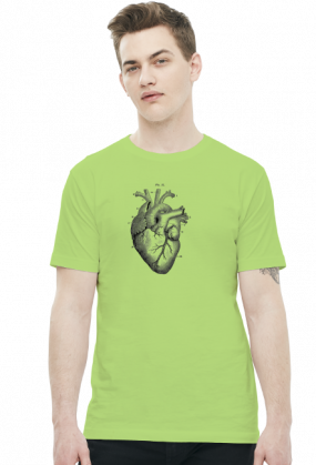 Serce anatomiczne