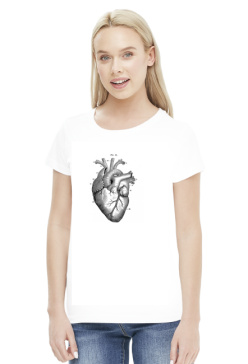Serce anatomiczne