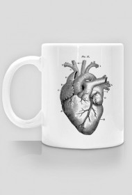 Serce anatomiczne