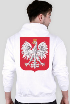 bluza polaka