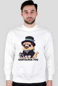 Gentelmen Pug