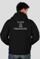 Śląsk