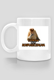 KUBEK JANUSZA - SYPANA CZY ROSPUSZCZALNA