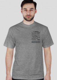 T-shirt męski szary Latin