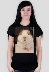 Świnka morska koszulka