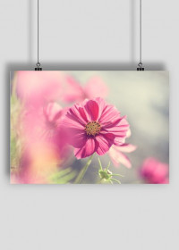 Plakat A2 Kwiat różowo-szary