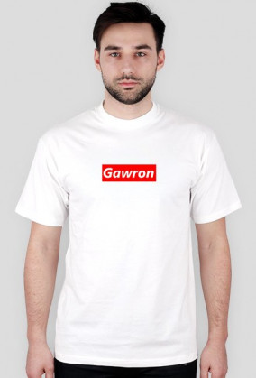 Gawron Box Logo T-SHIRT