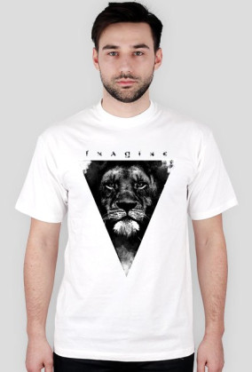 Imagine (lion)