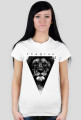 Imagine (lion)