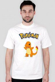 Pokemon T-shirt 2