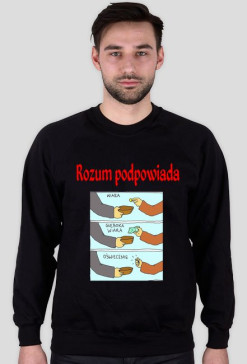 rozum