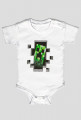 Body Minecraft
